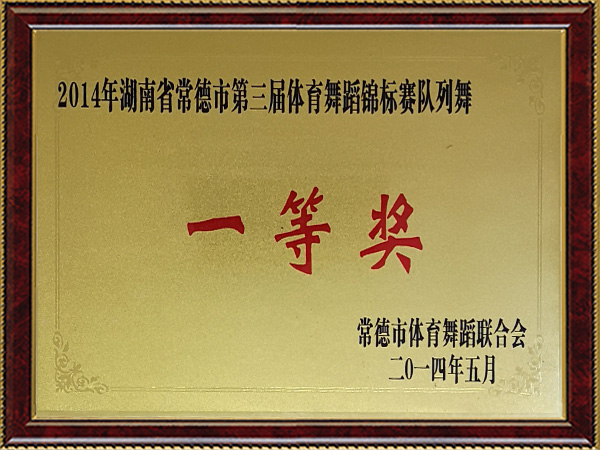 2014年湖南省常德市第三届体育舞蹈锦标赛队列舞一等奖