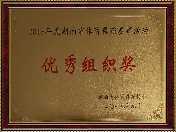 2018年度湖南省体育舞蹈赛事活动优秀组织奖